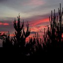 �������� ������ ��� �� ������� ������������ �������Ȼ