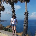  , , 44  -  11  2014    2014