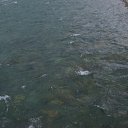 ���� ������, ����������� - ��������� 1 ���� 2014 � ������ ������� ����� ���� 2014 ����