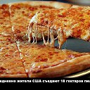 ���� �������, ����������, 51 ��� - ��������� 7 ��� 2014 � ������ ���� ����������