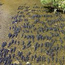  , -, 59  -  11  2014    