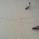 ���� �����, ������� - ��������� 23 ���� 2014 � ������ �23.06.2014�