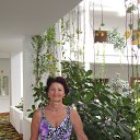  , -, 71  -  9  2014   ,  2014 