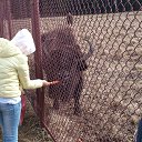  ,    ,       02.03.14 