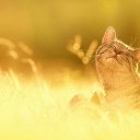 ���� �������, ��������� - ��������� 26 ������ 2014 � ������ ���� ����������