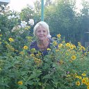 ���� ������, ������, 73 ���� - ��������� 27 ���� 2014 � ������ ���� ����������