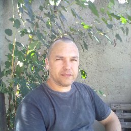 , 49, 