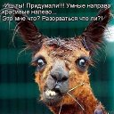 ���� ������� ,���� �����, ����� - ��������� 25 ������ 2014 � ������ ��������