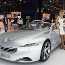 ���� �������, ���������, 41 ��� - ��������� 19 ���� 2014 � ������ ���� ����������