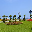 ���� ~ � � � � � ~, �����, 43 ���� - ��������� 26 ������ 2014 � ������ �������