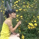 ���� ������@, ���� - ��������� 29 ���� 2014 � ������ ���� ����������