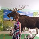  ,  -  15  2014    &quot;&quot; 2014