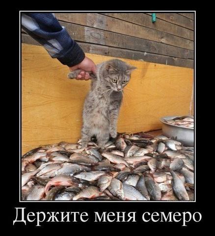 �������������� �� ���: fotostrana.ru/public/232203 ;-)