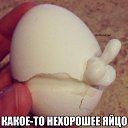 ���� ����, ���������� - ��������� 2 ���� 2014 � ������ ������ ��������