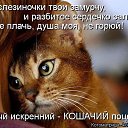 ���� �������, ������, 44 ���� - ��������� 23 ����� 2014 � ������ ���� ����� � �������������� ������-������