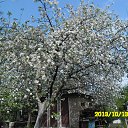 ���� Vitaliy, ����, 53 ���� - ��������� 4 ��� 2014 � ������ ���� ����������