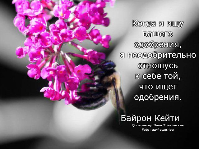  , ,   ! - 12  2014  22:43