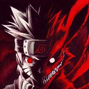 ���� ����, ����������, 39 ��� - ��������� 4 ������� 2014 � ������ �PetLove�