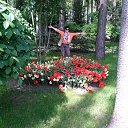 ���� �����, ������, 59 ��� - ��������� 16 ��� 2014 � ������ ���� ����������