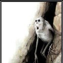  Tanya, , 41  -  9  2014    