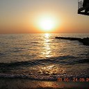 ���� ������, �������, 49 ��� - ��������� 20 ����� 2014 � ������ ���� ����������