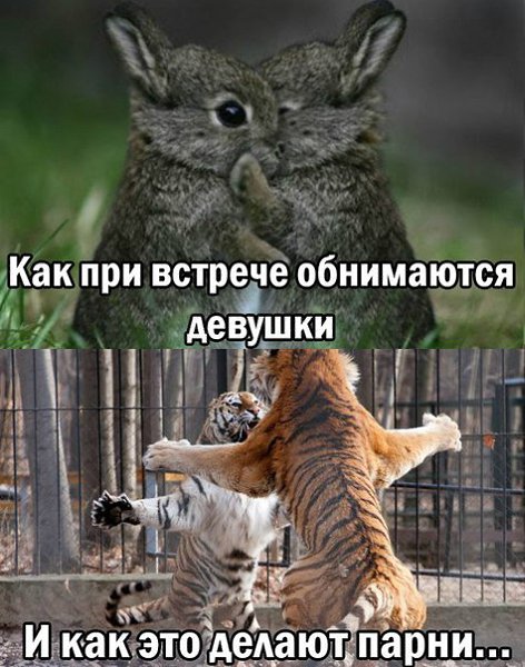     ! =))) http://fotostrana.ru/public/233738/