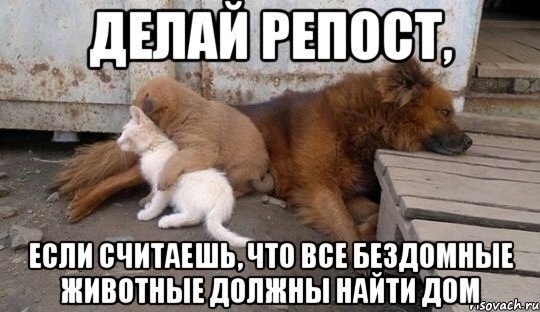 Art & Fun - 14  2014  22:12