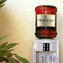 ���� ����, �����-���������, 48 ��� - ��������� 2 ���� 2014 � ������ �������