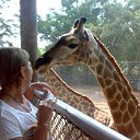 ������� �� ������� �������� 2014�