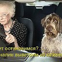  Vladimir, , 56  -  20  2014    