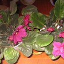 ���� �����, ������ �������� - ��������� 22 ����� 2014 � ������ �������