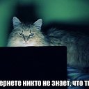  * , -, 55  -  25  2014    