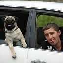 ���� �������, ����-���������, 42 ���� - ��������� 11 ������ 2014 � ������ ���� ����������