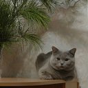 1.3 ������ �� ������� ���� ����������