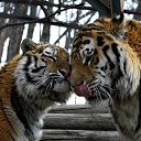 ���� ������, ��������� - ��������� 19 ������ 2014 � ������ ������ ��������