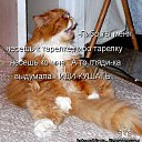  , -, 36  -  22  2014    