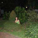 ���� �������, ������, 33 ���� - ��������� 12 ������� 2014 � ������ ���� ����������