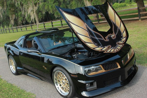 Hurst Trans Am - 2