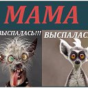 ���� ��������, ������ ��������, 37 ��� - ��������� 5 ���� 2014 � ������ ������ ��������