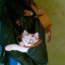 ���� Vit, ������ - ��������� 2 ���� 2014