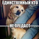 ���� ������, ������������, 29 ��� - ��������� 13 ������ 2014 � ������ ������ ��������