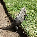 ��� ������ �� ���������� �� ������� ������ ��������