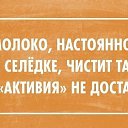 ���� ����, ���������, 40 ��� - ��������� 7 ������� 2014 � ������ ������ ��������