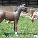 ���� �����, �����, 24 ���� - ��������� 31 ���� 2014 � ������ ���� ����������