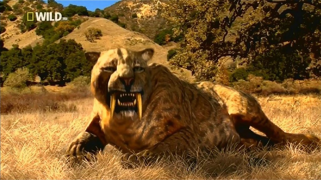  :  . (Prehistoric Hunters: Saber Tooth Cat)    ... - 2