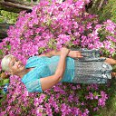 ���� ������, ���� - ��������� 10 ��� 2014 � ������ ���� ����������