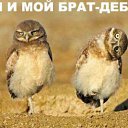 ���� ������, ���������, 42 ���� - ��������� 11 ������ 2014 � ������ �����������
