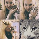 ���� ��������, ��������� - ��������� 9 ������ 2014 � ������ ���� ����������