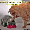 ���� ����, ������, 53 ���� - ��������� 25 ��� 2014 � ������ ������ ��������