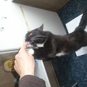 ���� �������, ������������, 37 ��� - ��������� 20 ���� 2014 � ������ ������ ��������